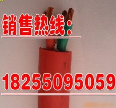 天長市康泰儀表電纜廠 高品質(zhì)控制電纜的卓越之選